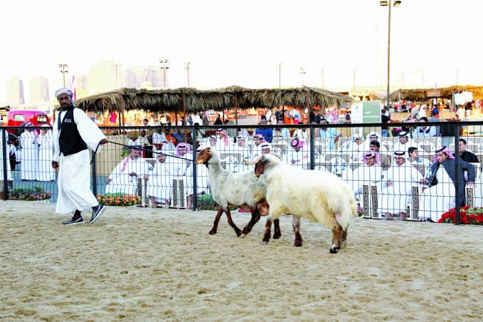 الخدمات الطبية