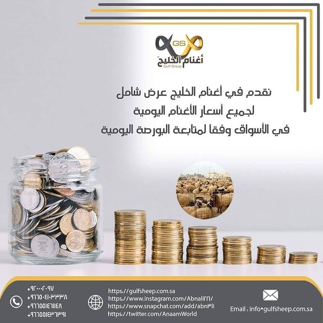 أغنام الخليج